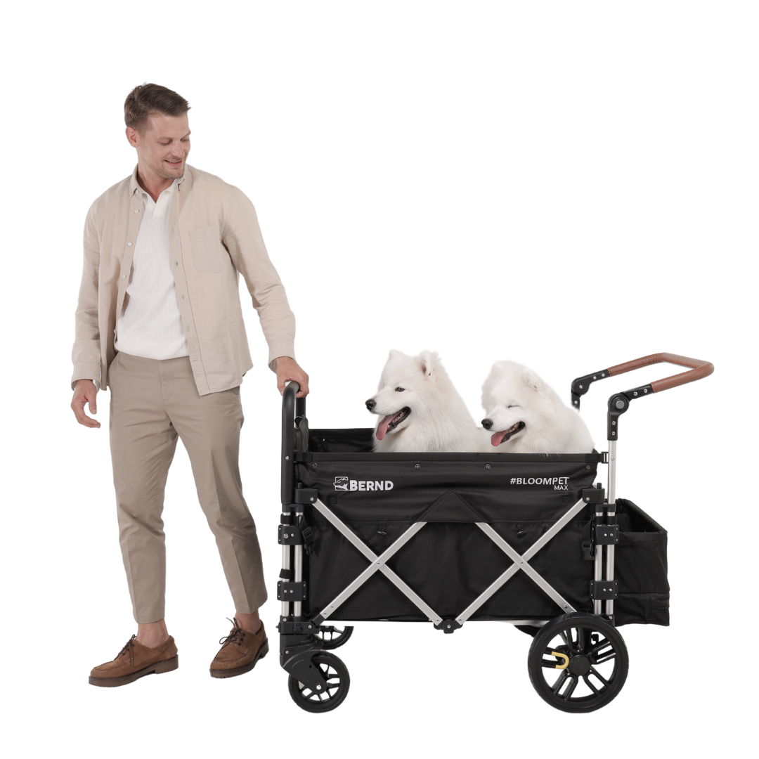 Bloom Pet MAX — Ansicht 3